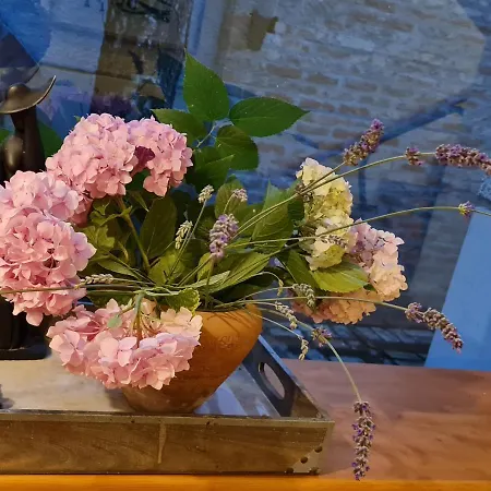 Garden Center * ノヴィ・サド